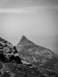 scenics - nature