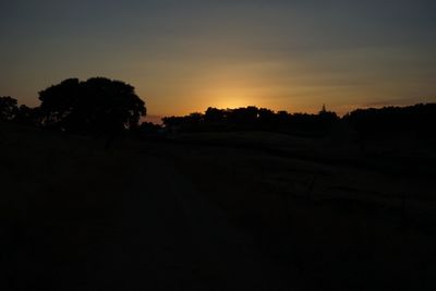 Silhouette of trees at sunset