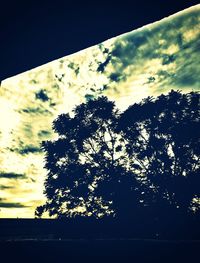 Low angle view of trees against cloudy sky