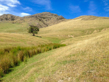 Scenic view of landscape against sky