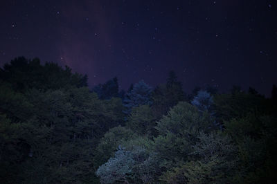 Scenic view of landscape at night