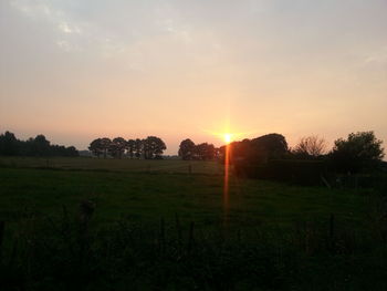 Scenic view of grassy field against sky at sunset