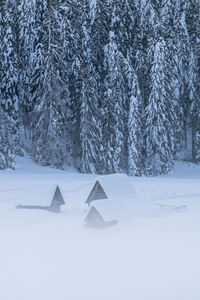 Snow covered field by trees