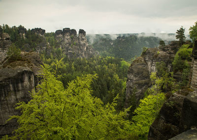 Bastei in the elbe sandstone mountains in the saxon switzerland in germany