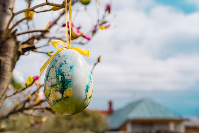 Easter egg hanging on magnolia tree