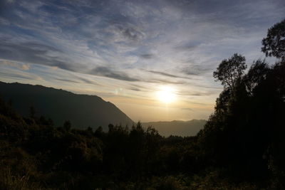 Silhouette trees on landscape against sky during sunset
