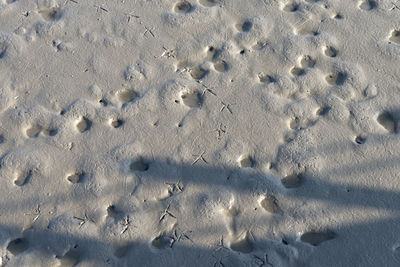 High angle view of footprints on sand at beach