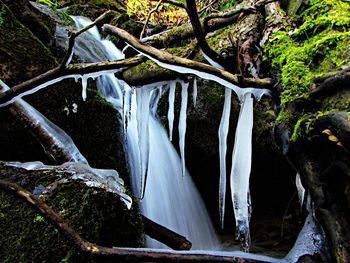 Scenic view of waterfall in forest