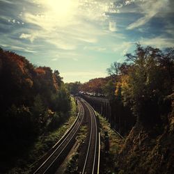 Railroad track along trees