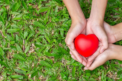 High angle view of woman holding heart shape on grass