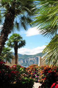 Scenic view of trees and mountains against sky