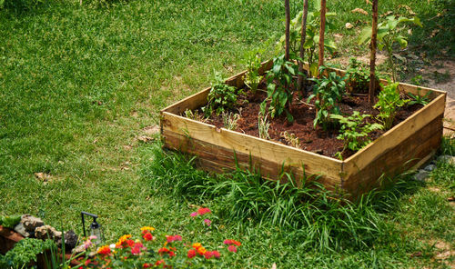 High angle view of potted plants on field