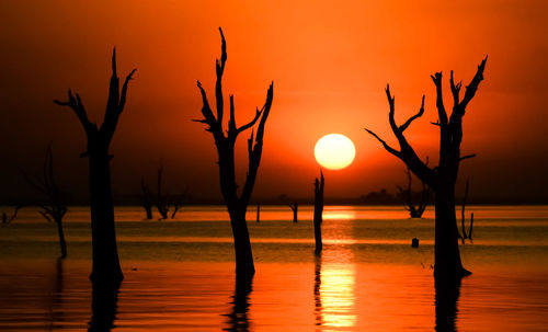 Silhouette bare tree by lake against orange sky