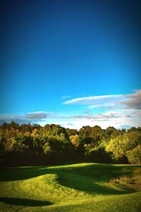 Scenic view of grassy field against sky