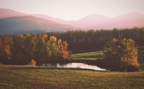 Scenic view of field by lake against sky during autumn