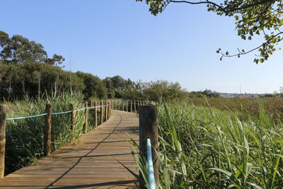 Scenic view of landscape against clear sky