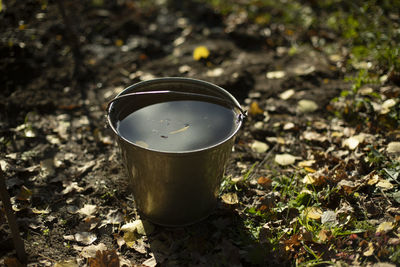 Leaves float in water. autumn leaves in steel bucket. bucket of water in garden. garden tool. 