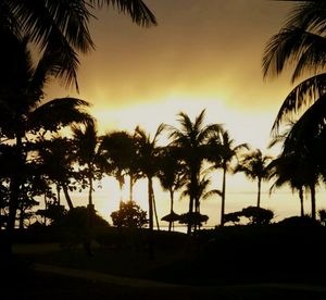 Silhouette palm trees on landscape against sky at sunset