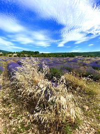 Scenic view of water on land against sky