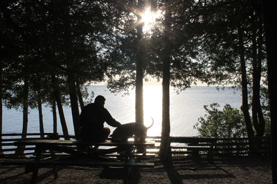 Rear view of man and dog sitting on picnic table against sea