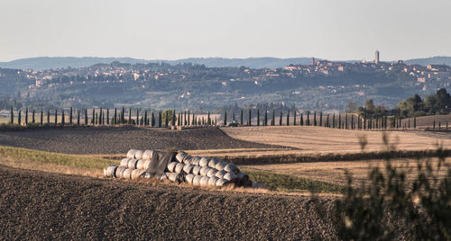 Scenic view of agricultural field against sky