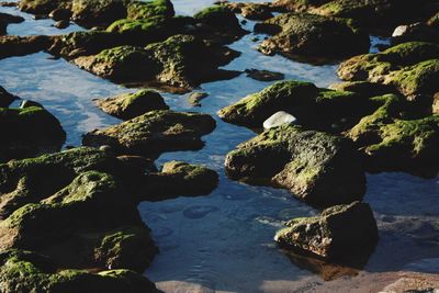 Close-up of rocks in water