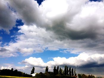 Low angle view of silhouette trees against sky