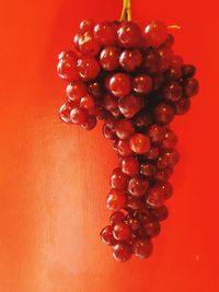 Close-up of red berries against orange background