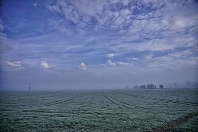 Scenic view of agricultural field against sky