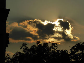 Low angle view of silhouette trees against sky during sunset