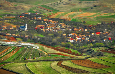 High angle view of agricultural field