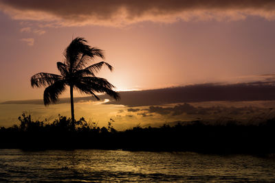 Silhouette tree by sea against romantic sky at sunset