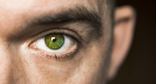 Close-up portrait of human eye