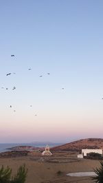Birds flying over landscape against clear sky