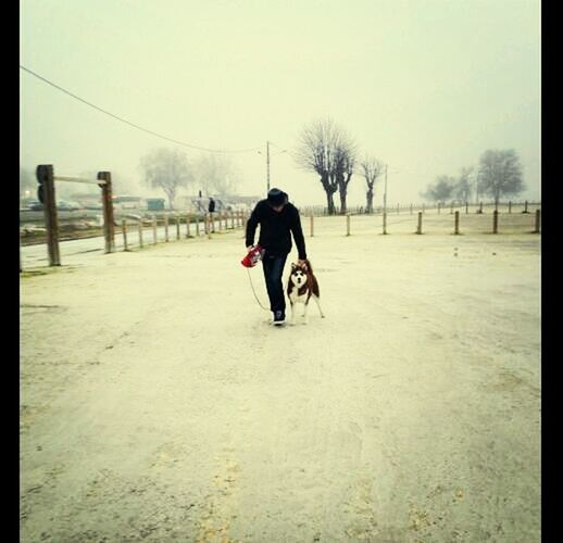 full length, rear view, tree, lifestyles, winter, walking, transportation, bare tree, weather, clear sky, road, leisure activity, men, snow, season, cold temperature, warm clothing, field