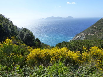 Scenic view of sea against clear sky