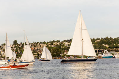 Sailboats sailing on sea against sky