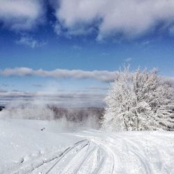 Scenic view of snow covered landscape