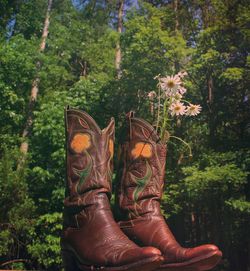 Flowers in cowboy boots against trees