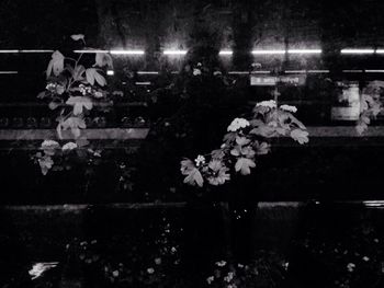 night
