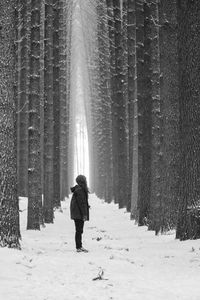 Side view of woman standing amidst treelined on snow covered field during winter