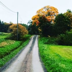 Road amidst trees against sky