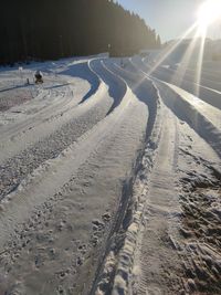 Tire tracks on snow covered land