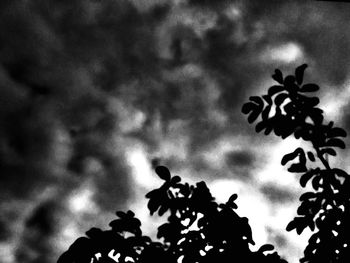 Low angle view of silhouette tree against sky