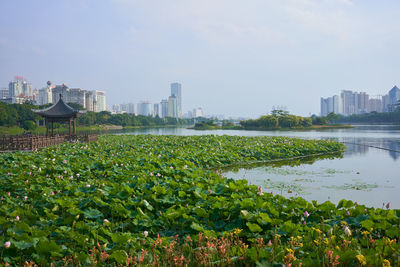 Scenic view of river by buildings against sky