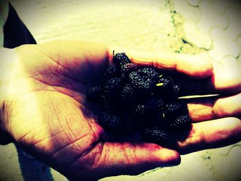 Close-up of cropped hand