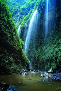 Scenic view of waterfall in forest