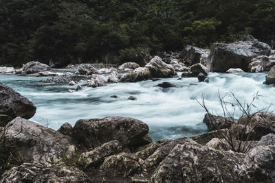 Scenic view of waterfall in forest