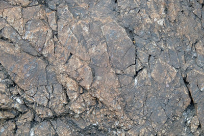 Close-up of stones on rock