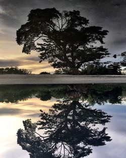 Silhouette tree by lake against sky
